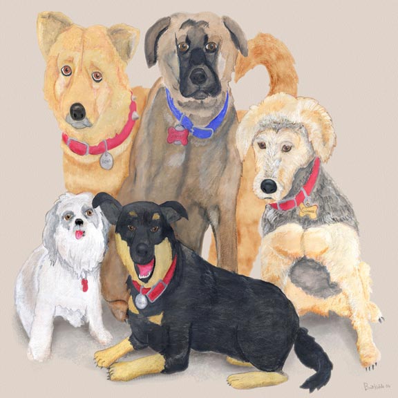 Dogs